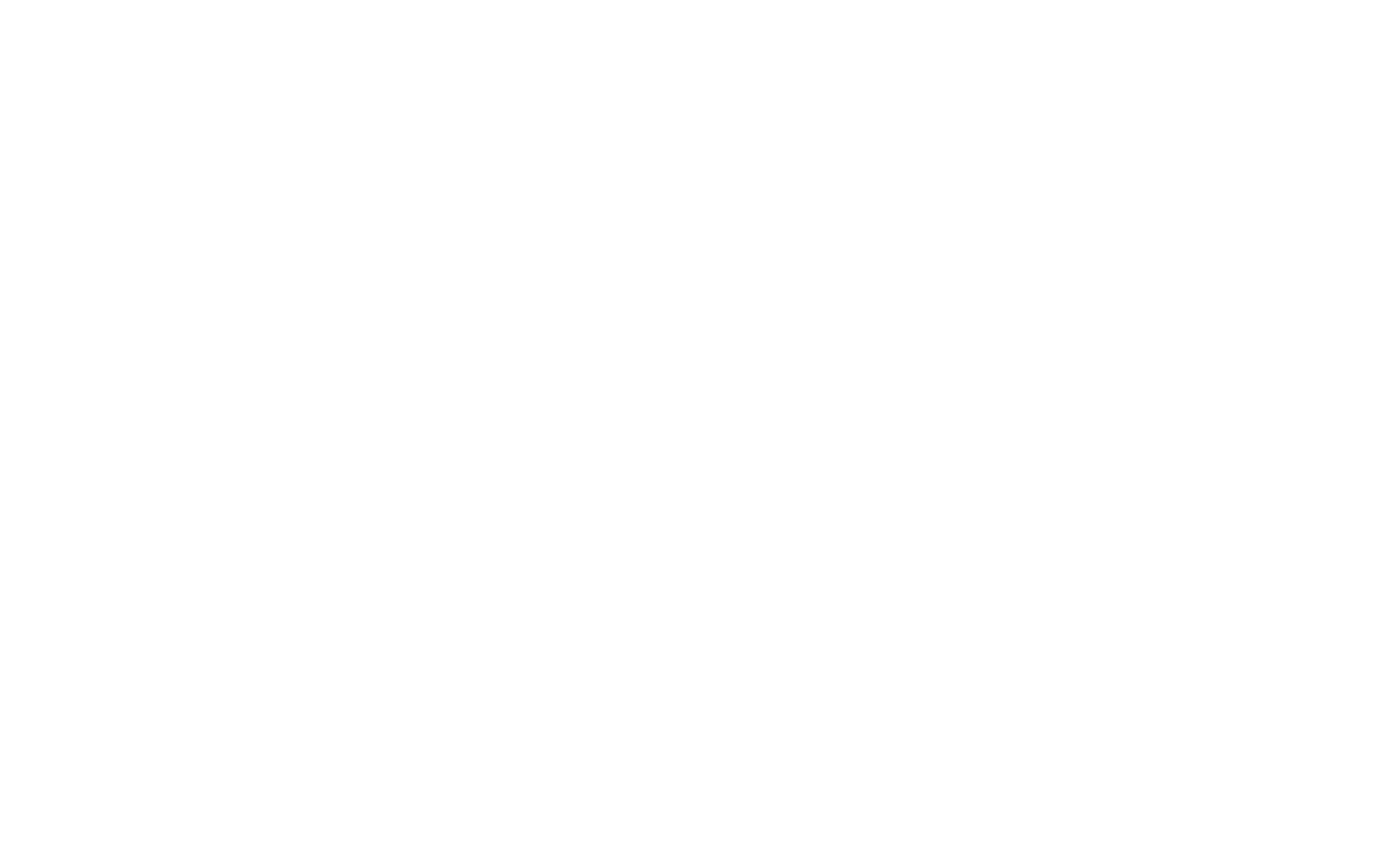 Socio comercial Fiebre Spotify