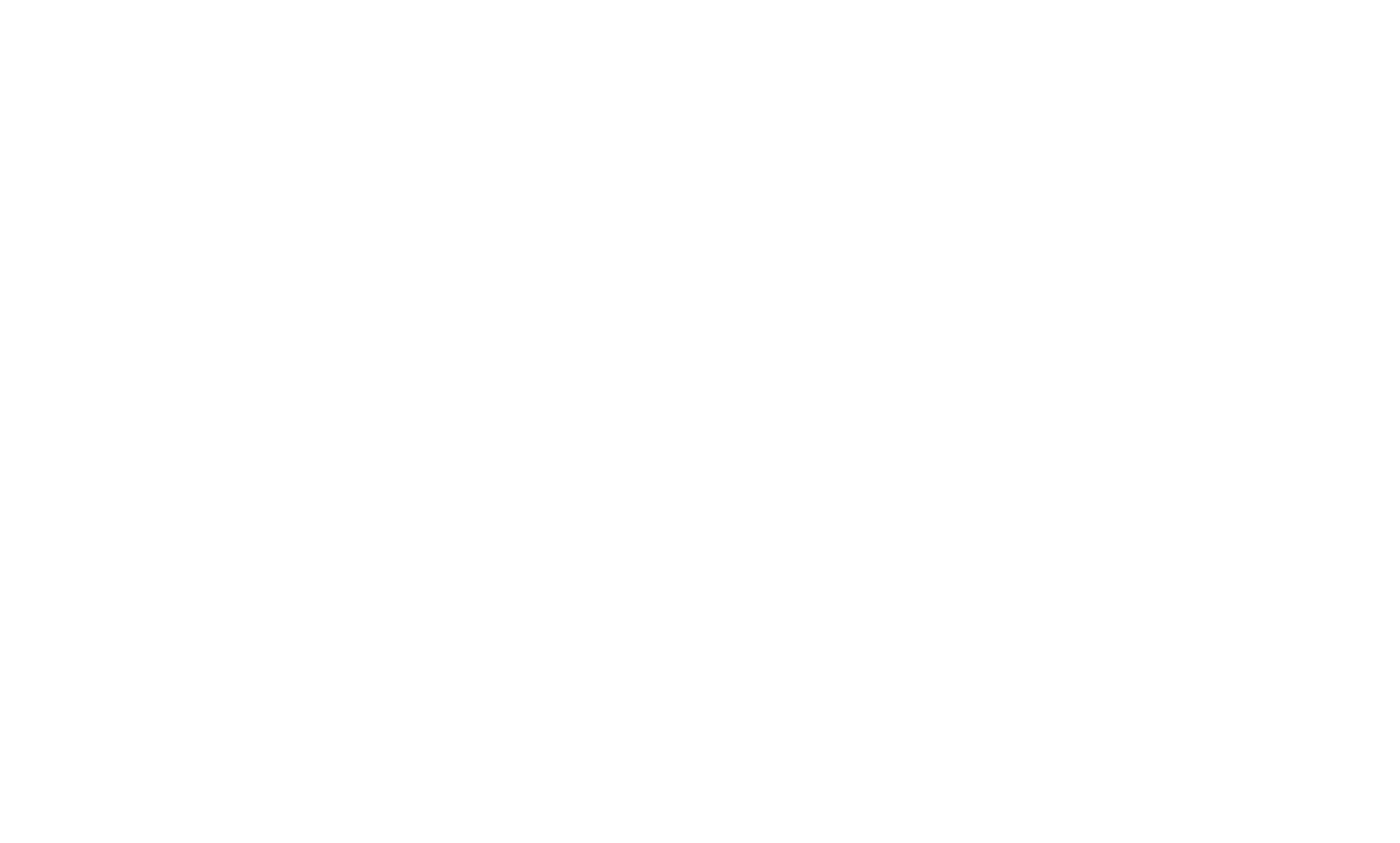 Socio comercial Fiebre Youtube