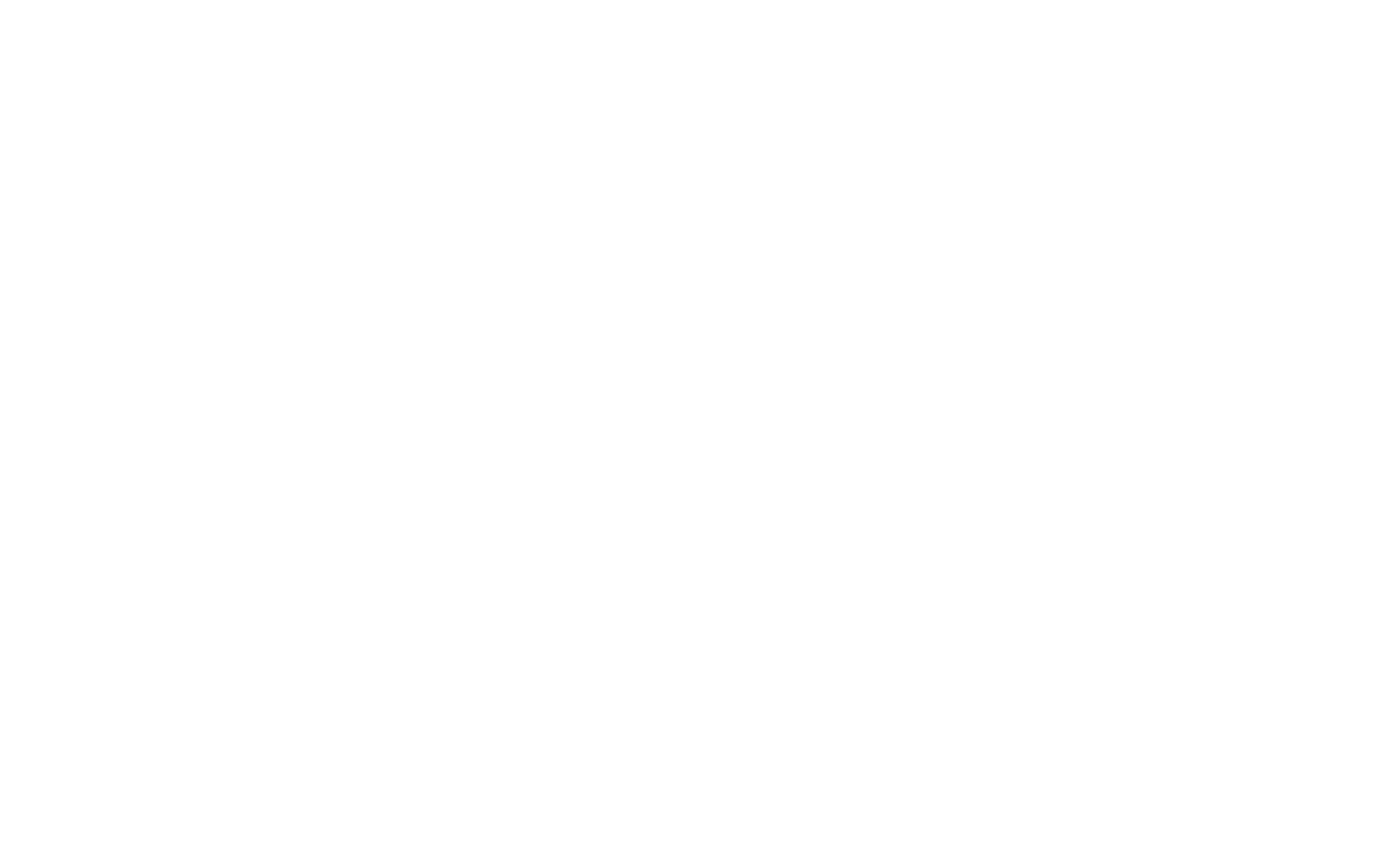Socio comercial Fiebre Adobe